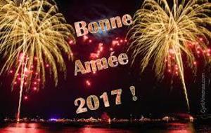 Bonne année 2017