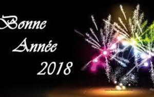 Bonne année 2018