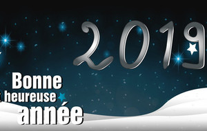 Bonne année 2019