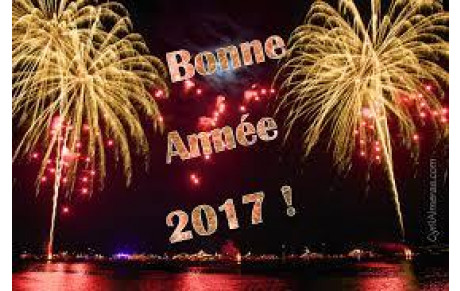 Bonne année 2017