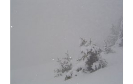 dimanche 18/01/09 Sortie aux Carroz